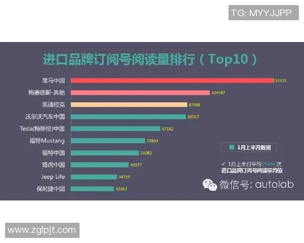 CFOLCP与FNCLEC的比较分析及其在市场中的影响力探讨 CFOLCP与FNCLEC的比较分析及其在市场中的影响力探讨